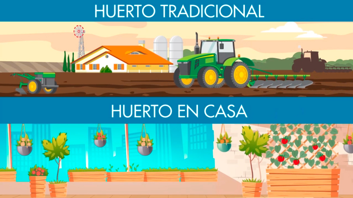 Curso Huerto en casa